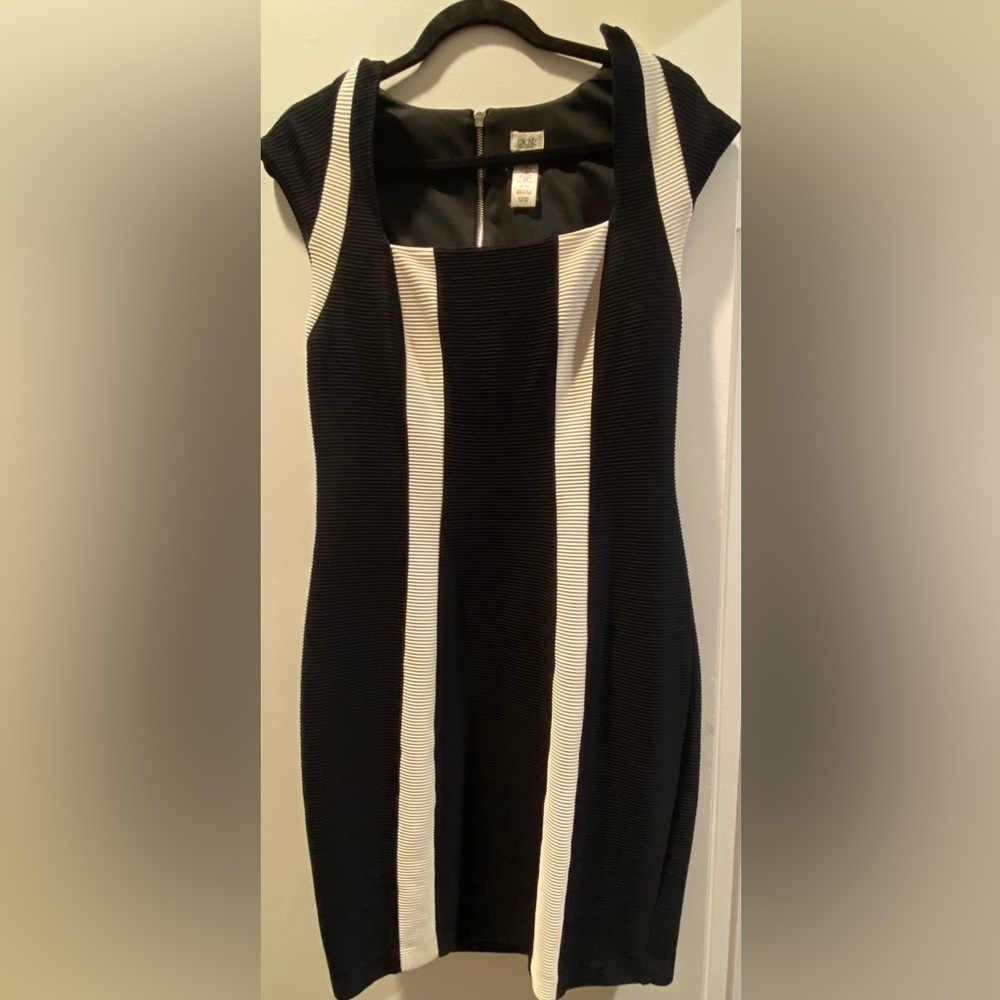 Black and White Cache dress